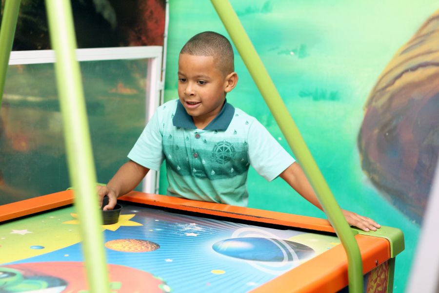 Aniversário 8 Anos Sophia