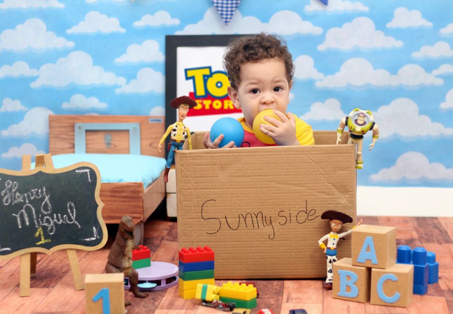 Ensaio Toy Story Henry Miguel