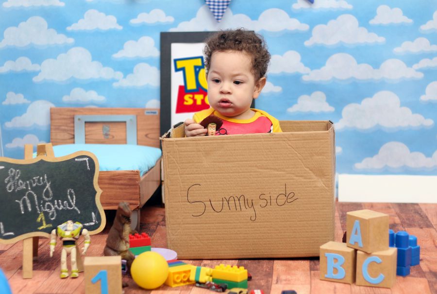 Ensaio Toy Story Henry Miguel