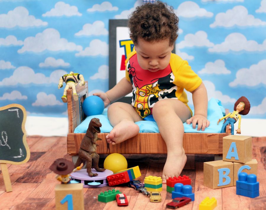 Ensaio Toy Story Henry Miguel