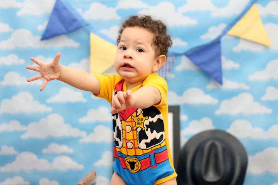 Ensaio Toy Story Henry Miguel