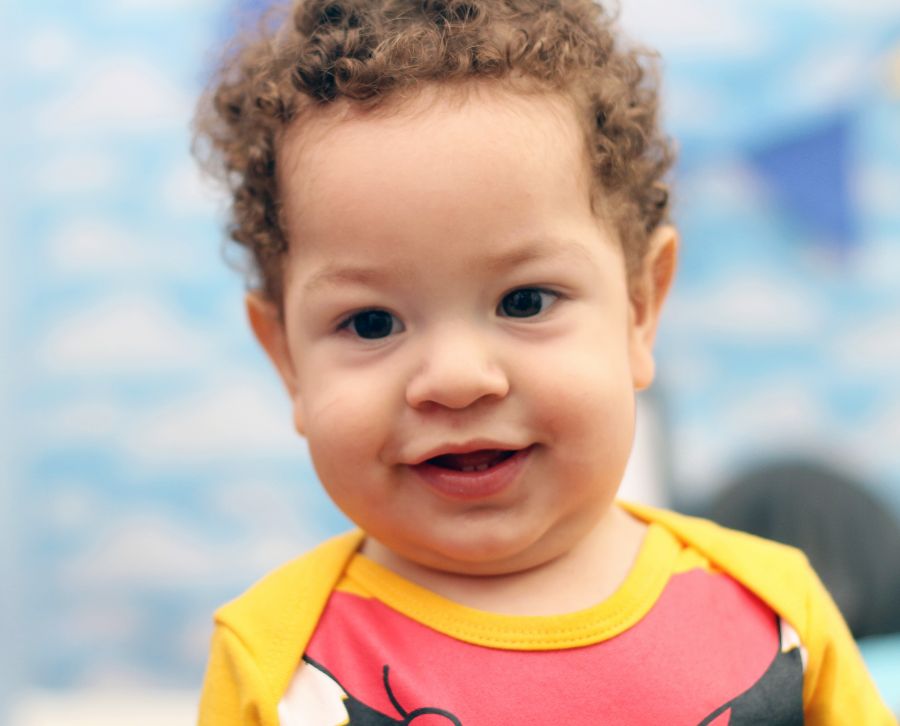 Ensaio Toy Story Henry Miguel