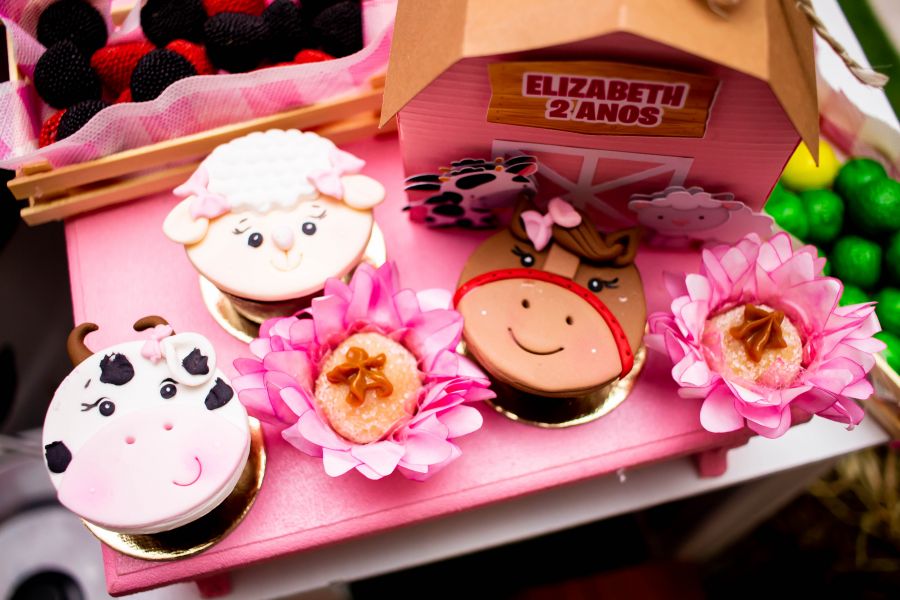 Aniversário Infantil em Guarulhos- Elizabeth 2 Anos