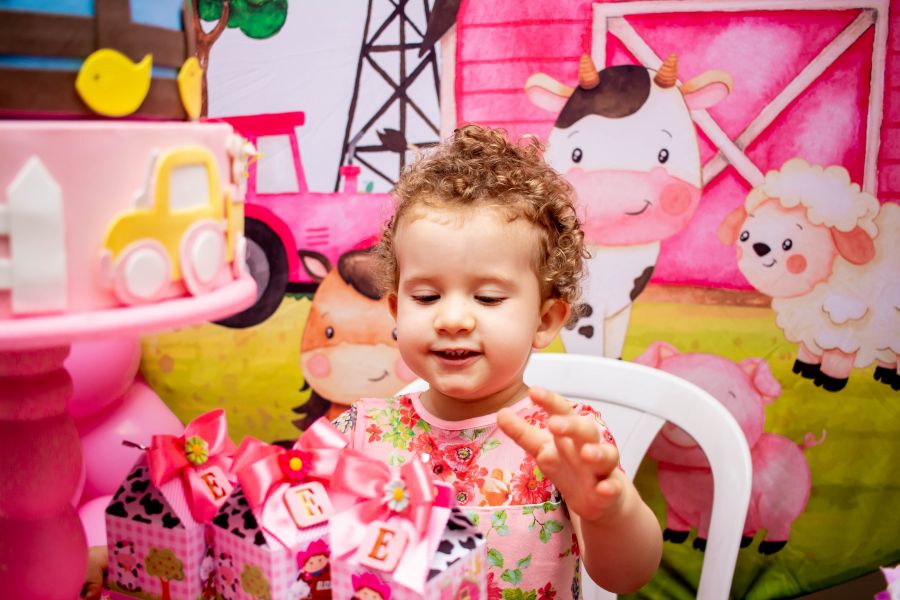 Aniversário Infantil em Guarulhos- Elizabeth 2 Anos