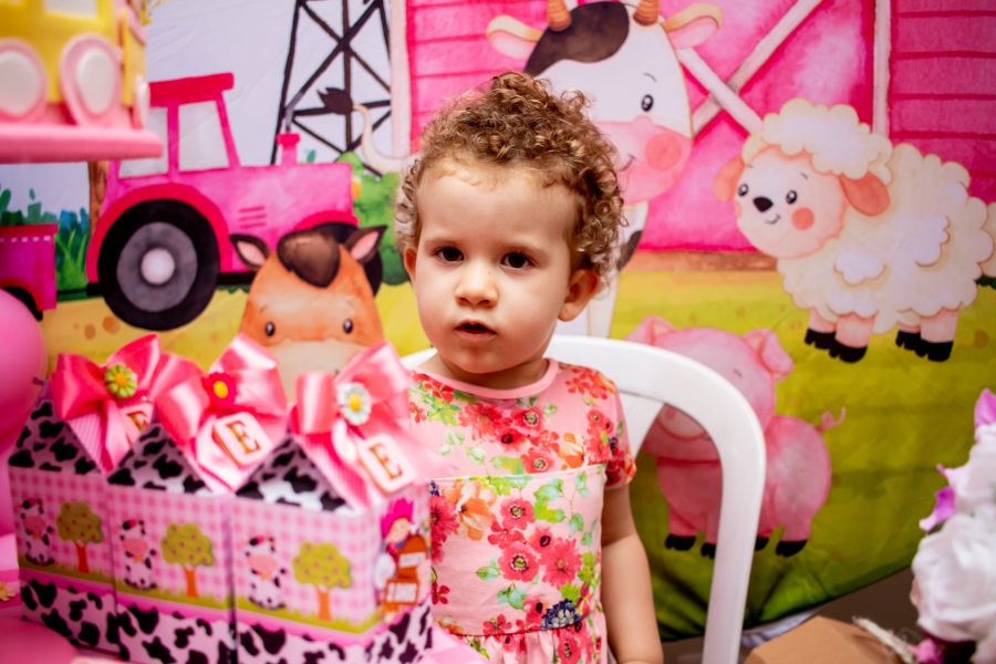Aniversário Infantil em Guarulhos- Elizabeth 2 Anos