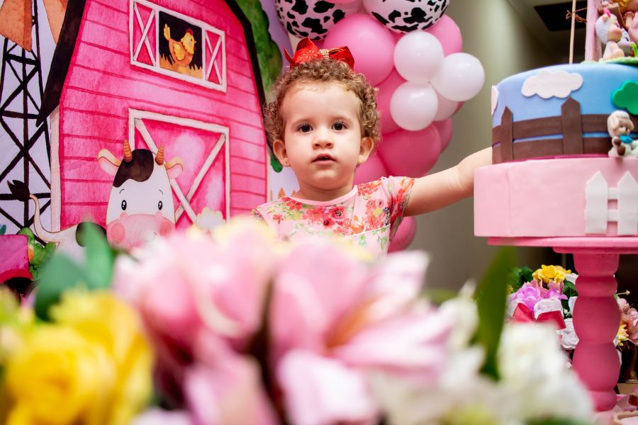 Aniversário Infantil em Guarulhos- Elizabeth 2 Anos
