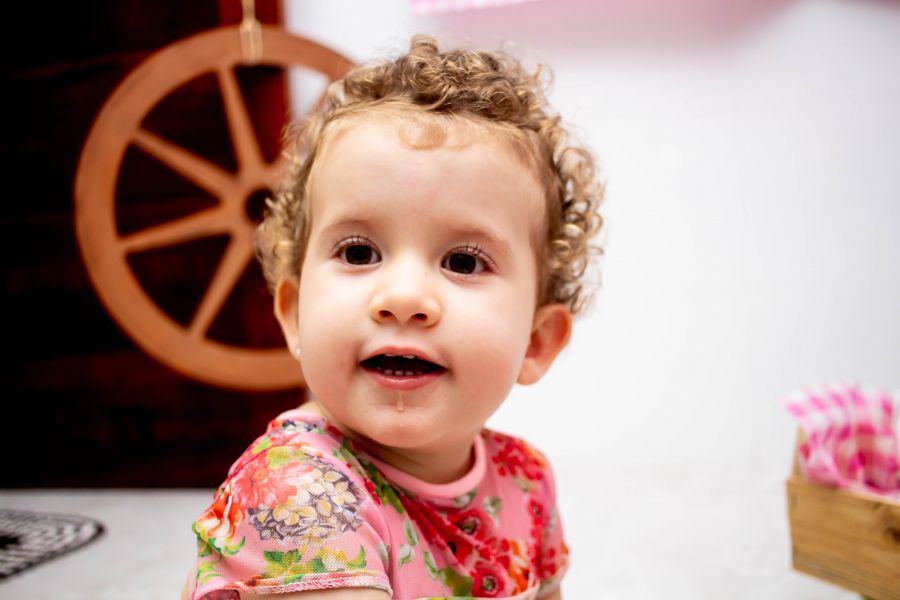 Aniversário Infantil em Guarulhos- Elizabeth 2 Anos